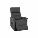 Primo International Taniel Fabric Lift Chair UA30116760MPLH IMAGE 1