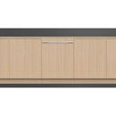 Fisher & Paykel 24-inch Built-in Dishwasher with Wi-Fi DW24UT4I2 IMAGE 4