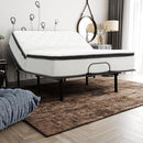  Primo International Malani Queen Adjustable Base M379112172SM5Q IMAGE 2