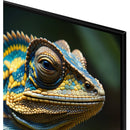  Samsung 50-inch QLED 4K Smart TV QN50Q60DAFXZC IMAGE 8