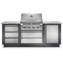Napoleon Oasis™ 100, 500 Series 32 Built-in Grill Center ODK100-BI32PSS IMAGE 1