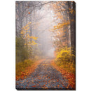  Streamline Art D2410-3860 Road and Autumn IMAGE 1