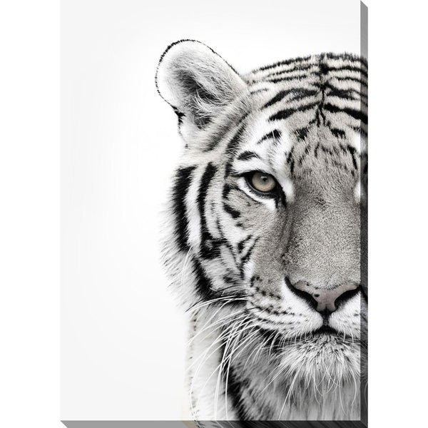 Streamline Art D1034-3045 White Tiger IMAGE 1