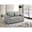 Mazin Furniture Wodehouse 99025LGY-3CL Sofa Bed with 2 Pillows IMAGE 6