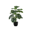 Monarch I 9576 24"H - Indoor Monstera/5" Black Pot IMAGE 2