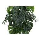 Monarch I 9576 24"H - Indoor Monstera/5" Black Pot IMAGE 5