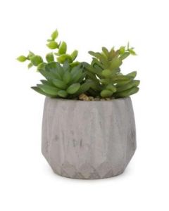 Déco cactus avec pot gris (ATTIT/HS1004/)